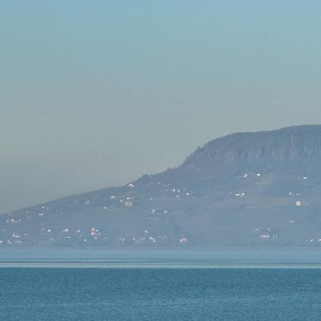 Balaton A Kertben - Balaton In The Garden - Beachfront Houses With Beautiful View, Private Beach Balatonfenyves Exterior foto