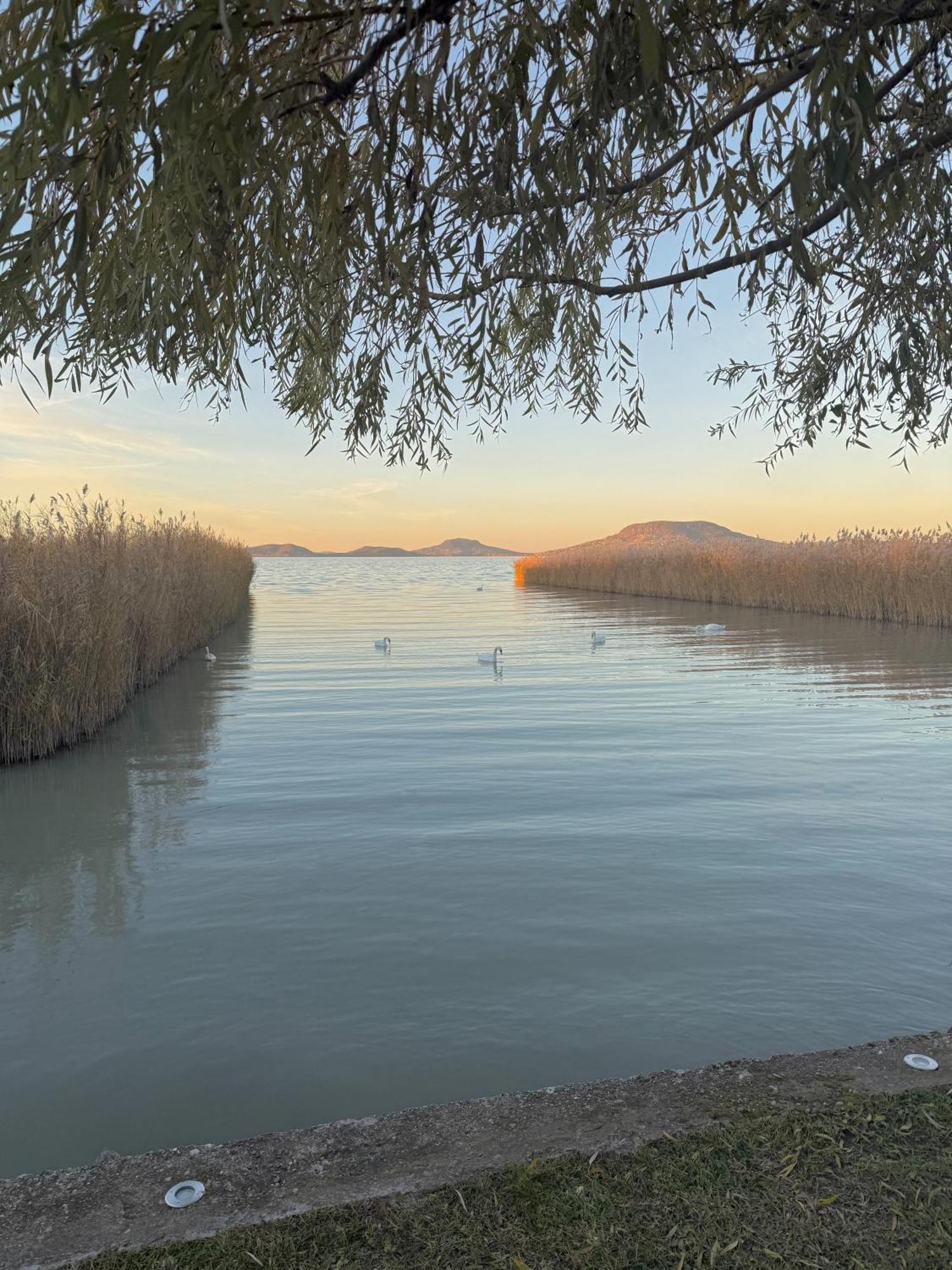 Balaton A Kertben - Balaton In The Garden - Beachfront Houses With Beautiful View, Private Beach Balatonfenyves Exterior foto